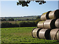 SO5221 : Bale stack by Pauline E