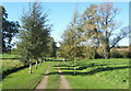 Track towards the lane from Harleston Church