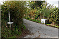 Lane to Bwlchbychan farm