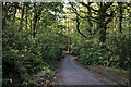 Bridge over Tithe Barn Brook