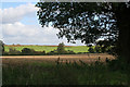 Farmland near Knipton