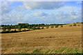 2008 : Farmland north of Mells